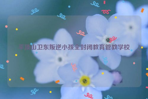 平顶山卫东叛逆小孩全封闭教育管教学校